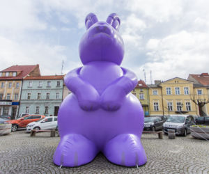 Zając Starego Browaru widziany w Grodzisku Wielkopolskim