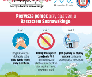barszcz sosnowskiego gis - pierwsza pomoc