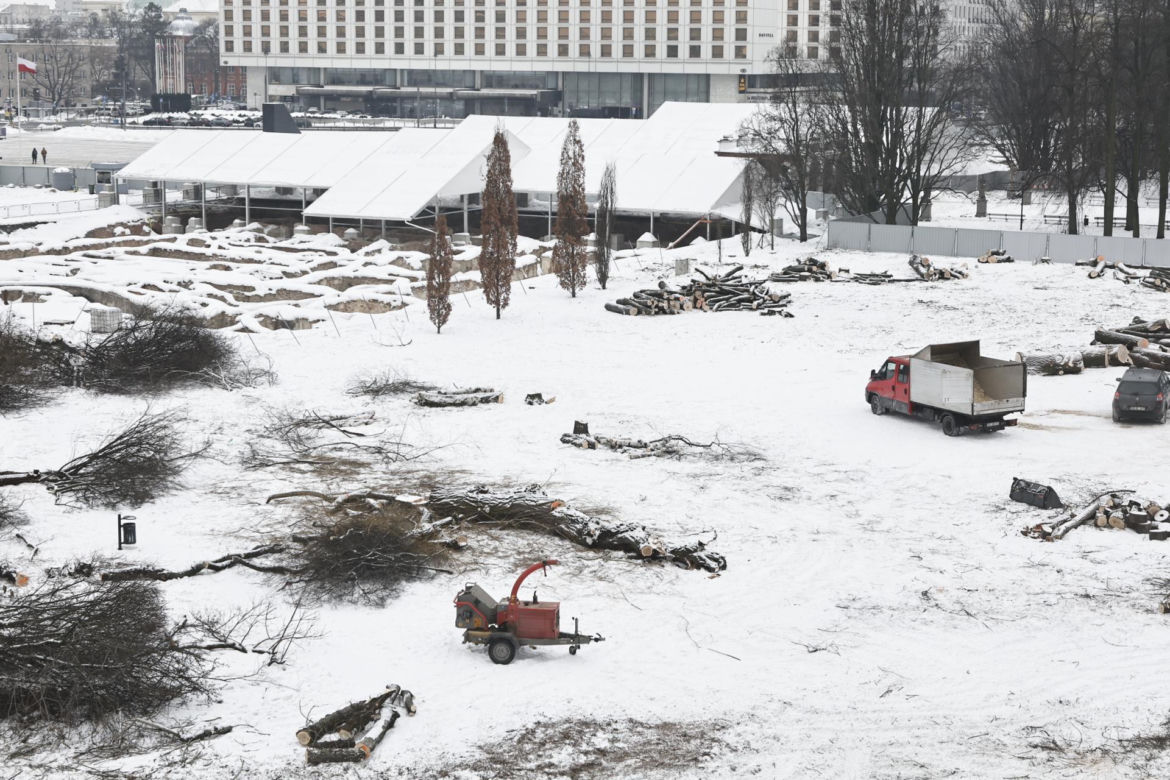 Rzeź drzew w parku w centrum Warszawy. Przygnębiający widok przed odbudową Pałacu Saskiego