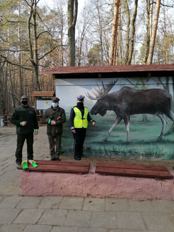 Mural z łosiem stanął przy drodze. Ma ostrzegać kierowców [ZDJĘCIA]