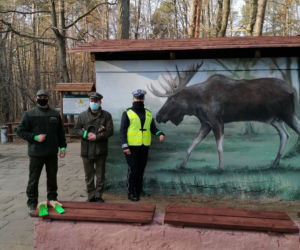 Mural z łosiem stanął przy drodze. Ma ostrzegać kierowców [ZDJĘCIA]