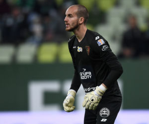 Dante Stipica