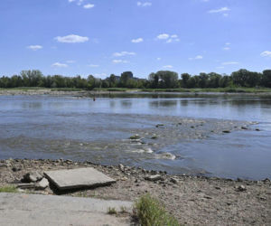 Latem Wisła w Warszawie prawie wyschnęła