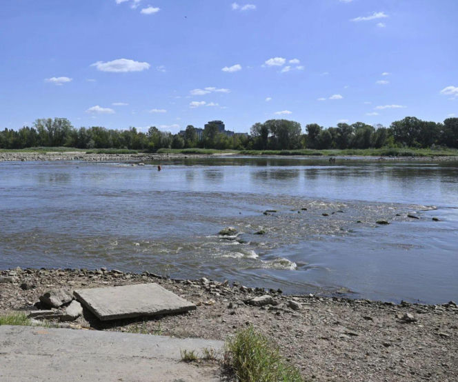 Latem Wisła w Warszawie prawie wyschnęła