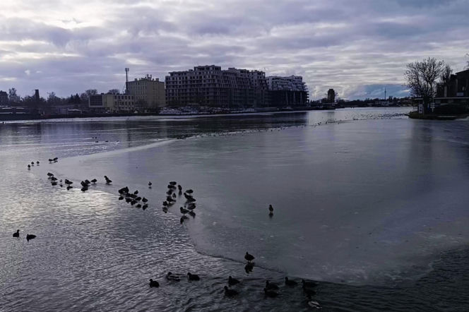 Nowe inwestycje na Kępie Parnickiej i Łasztowni