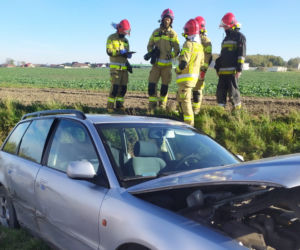 Wypadek na drodze wojewódzkiej pod Lesznem. Jedna osoba trafiła do szpitala