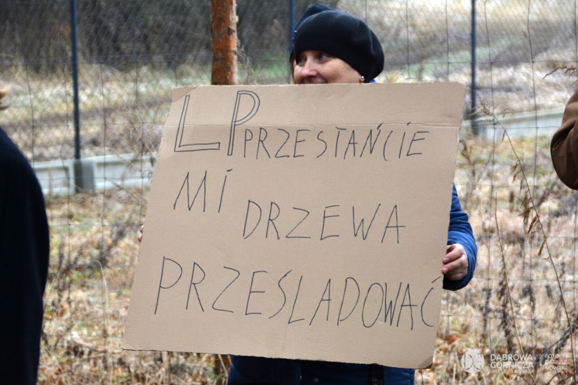 Protest mieszkańców przeciwko wycince drzew na Bukowej Górze