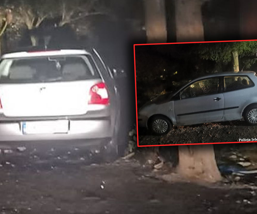 Ich drogi się rozeszły, więc ukradł jej auto
