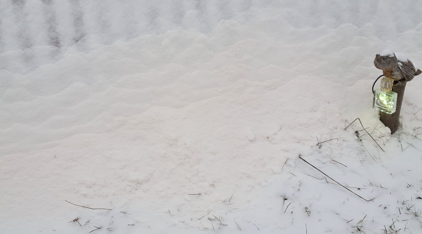 Na Śląsku spadł ŻÓŁTY ŚNIEG! Skąd się wziął? Będziecie zaskoczeni [ZDJĘCIA]