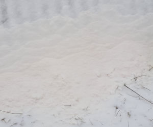 Na Śląsku spadł ŻÓŁTY ŚNIEG! Skąd się wziął? Będziecie zaskoczeni [ZDJĘCIA]
