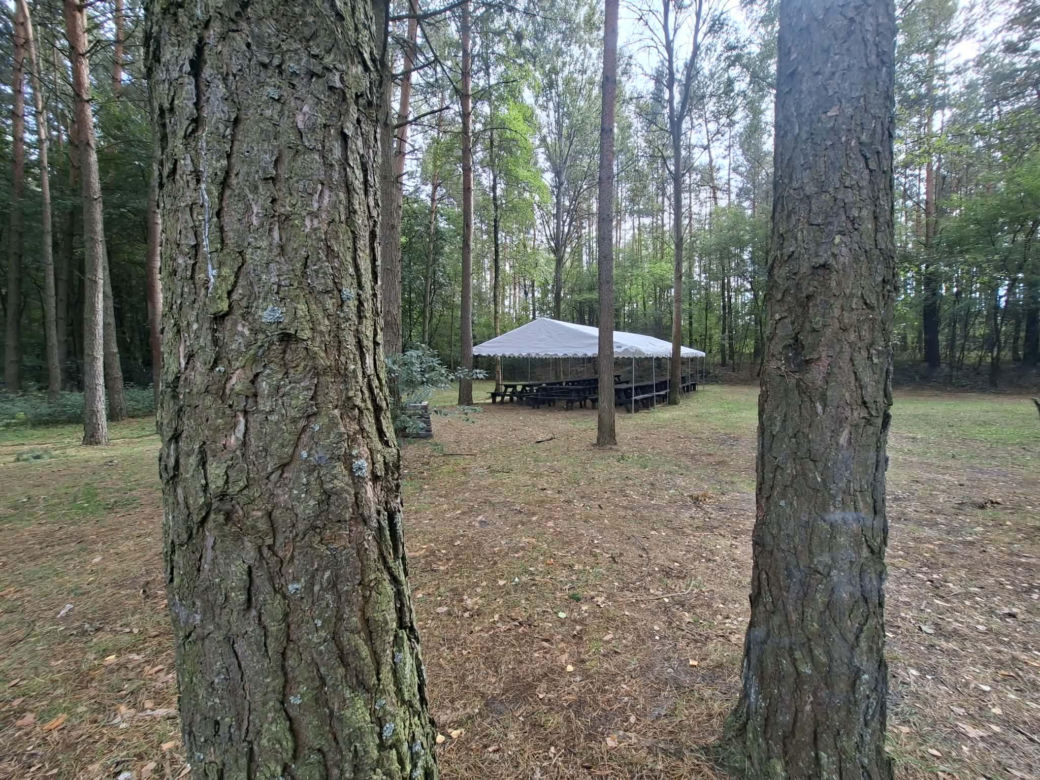 Czarniecka Góra