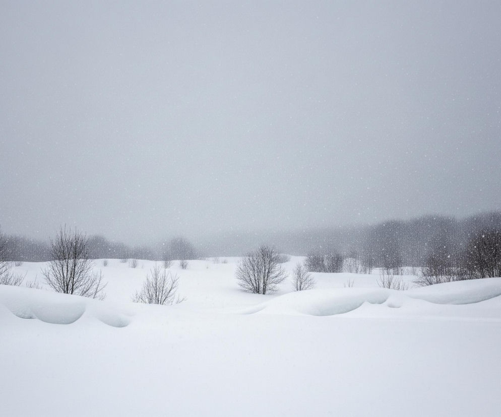 Zasypane śniegiem pole rozciąga się w kierunku horyzontu, gdzie niewyraźnie zarysowuje się linia lasu. Na pierwszym planie widoczne są pagórki świeżego, białego puchu, gdzieniegdzie urozmaicone małymi krzewami bez liści. Niebo jest jednolicie szare, a powietrze wypełniają drobne, opadające płatki śniegu, tworząc efekt mgły. Cała scena utrzymana jest w chłodnych odcieniach bieli i szarości.
