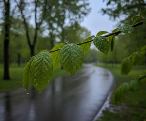 Pogoda na weekend w Łodzi 24-26 kwietnia. Weekend przyniesie zmianę pogody i ochłodzenie