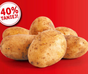 Promocje Lidla na weekend