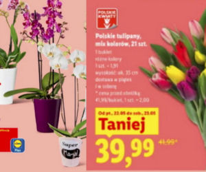 Dzień Matki w Lidlu