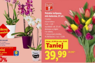 Dzień Matki w Lidlu