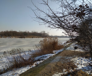 Mimo dodatnich temperatur spacerują po lodzie. Sprawa dzieli mieszkańców Białołęki