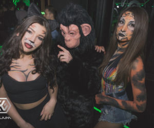 Imprezowy weekend w Lublinie! Welcome to the jungle!
