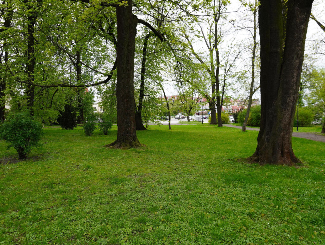 Park Bronowice wiosną 2024
