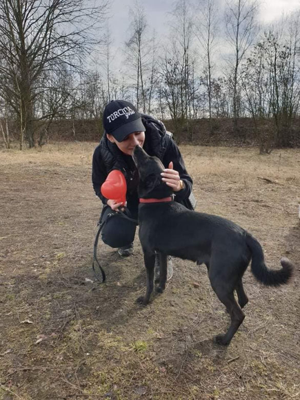 Dziewczyny z Torcida Girls zorganizowały zbiórkę na schronisko dla zwierząt. Zachęcaja wszystkich do pomocy [ZDJĘCIA]