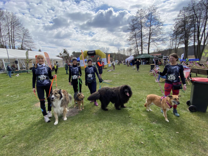 2. Bieg Charytatywny Leśny Zryw w Starych Jabłonkach