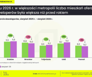 Rynek pierwotny coraz bardziej podzielony
