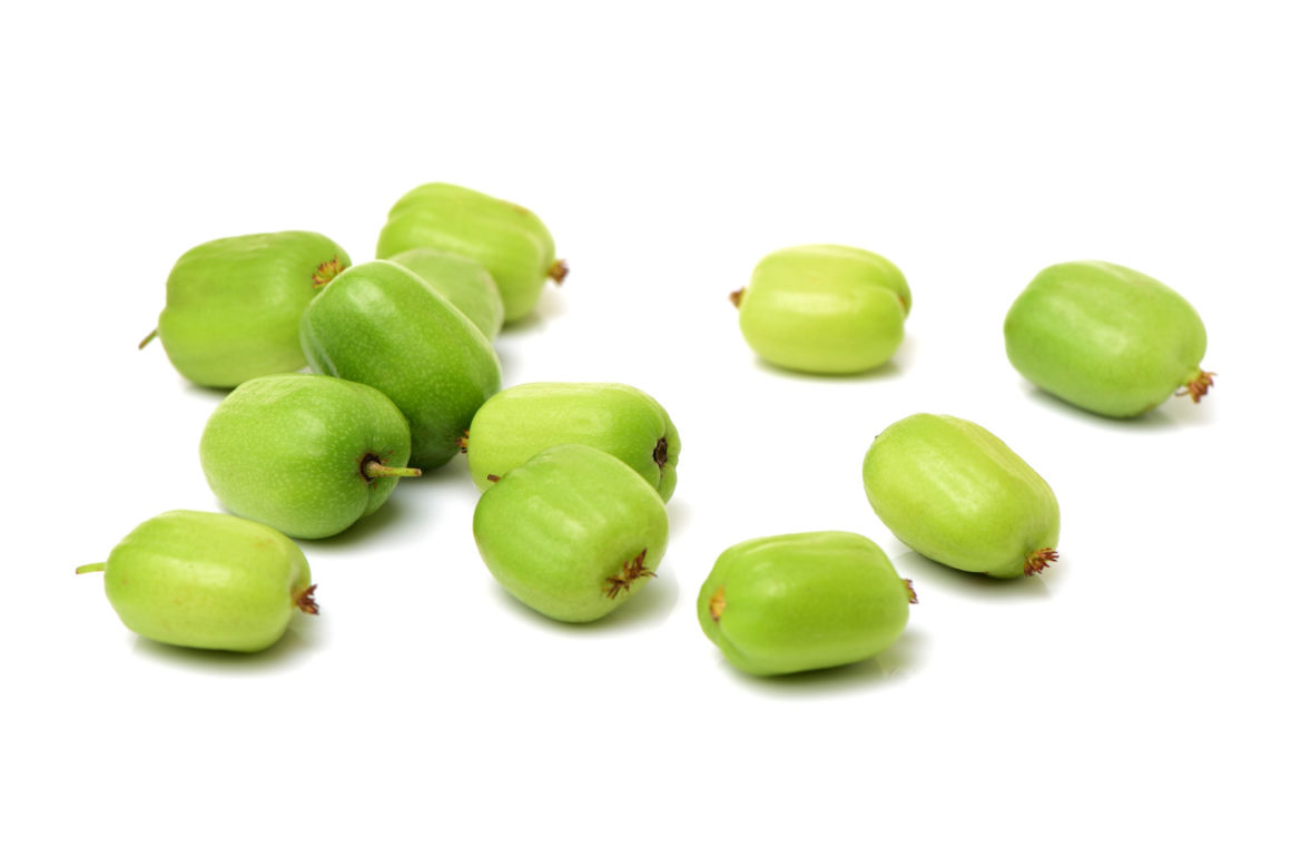 Mini kiwi