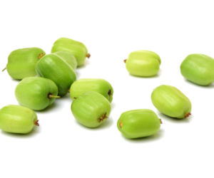 Mini kiwi
