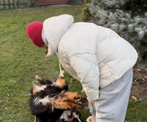 Dowbor walczy o Stefana