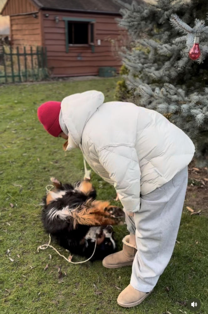 Dowbor walczy o Stefana