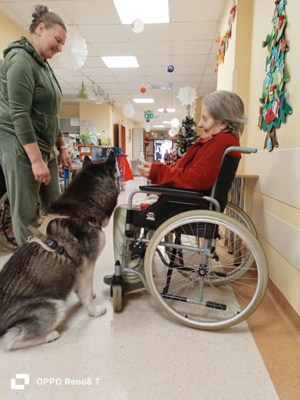 Dogoterapia w starachowickim ZOL-u. Czworonożnym terapeutą jest uroczy Hachi