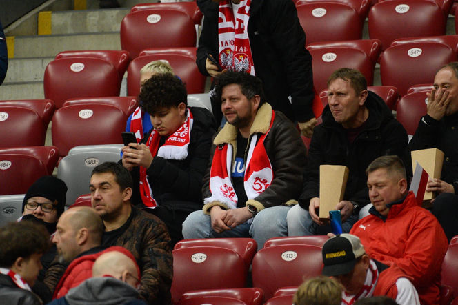 Polska - Holandia: Kibice na meczu. Znajdź się na trybunach