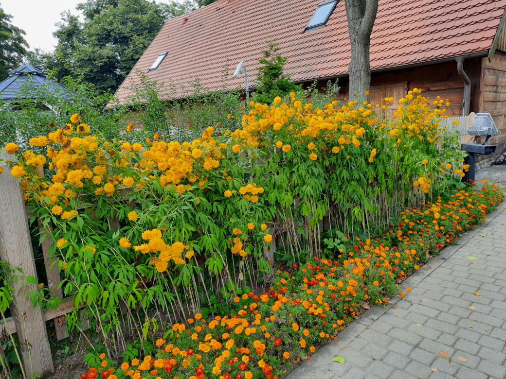 Kujawsko-Pomorskie Święto Plonów