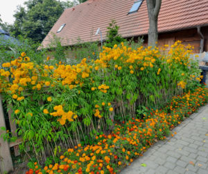 Kujawsko-Pomorskie Święto Plonów