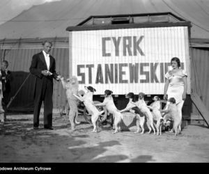 Cyrk Braci Staniewskich