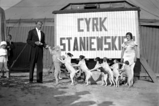 Cyrk Braci Staniewskich