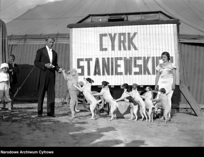 Cyrk Braci Staniewskich