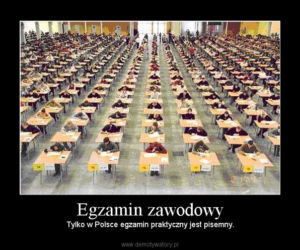 Egzamin zawodowy 2020: MEMY o egzaminie potwierdzającym kwalifikacje zawodowe [ZDJĘCIA]
