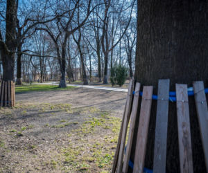 Park Bronowice Lublin