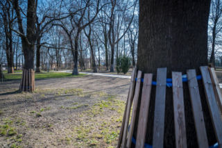 Park Bronowice Lublin