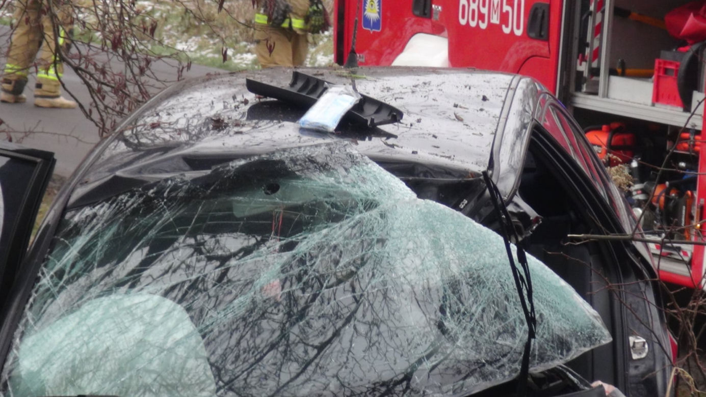 Tragedia pod Wołominem. Wypadła z drogi, rozbiła się na drzewie. 19-latka nie żyje