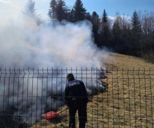 Ktoś podpalił łąkę w Bieszczadach