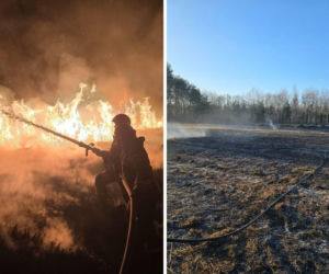 Wypalanie traw w Polsce. Ekspert obala mity i mówi o zagrożeniach