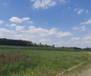 Zbiornik w Skrzyszowie - fotogaleria