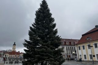 Wielki choinka stanęła na Rynku Kościuszki. Kiedy odpalone zostaną iluminacje świąteczne?