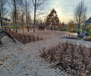 Park kieszonkowy Siedlce, ul. Traugutta