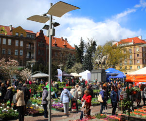 Targi Miasto-Ogród w Szczecinie