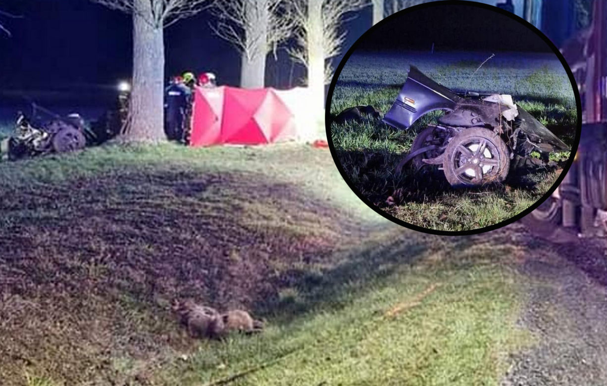 Śmiertelny wypadek pod Skwierzyną! BMW rozpadło się na części po zderzeniu z sarną [ZDJĘCIA]