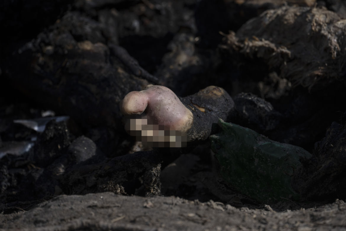 Wojna na Ukrainie