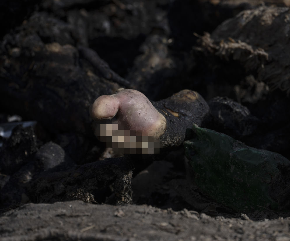 Wojna na Ukrainie